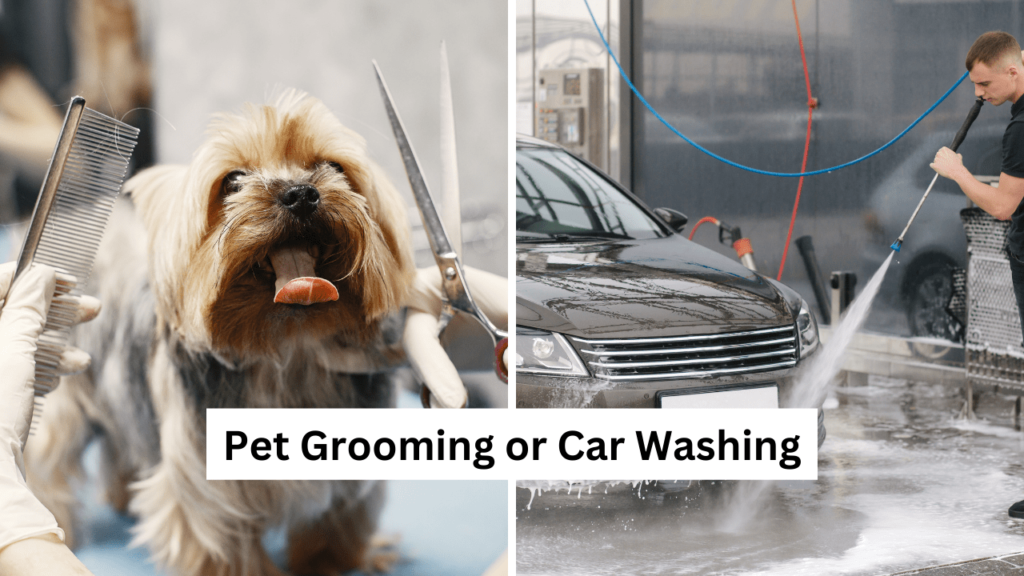 part time pet grooming and car washing services