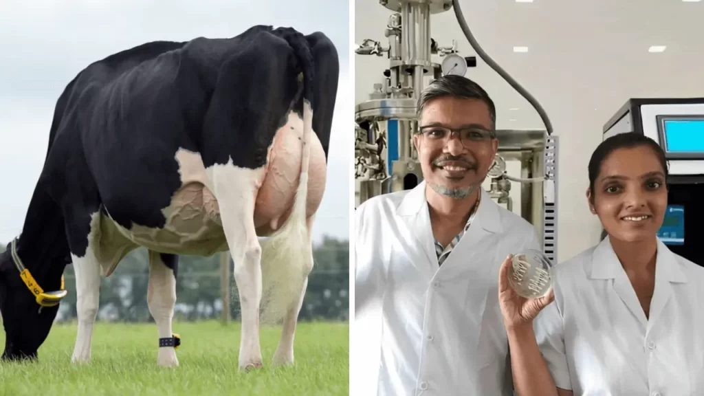 Zero Cow Factory India First Lab-Grown Milk Startup