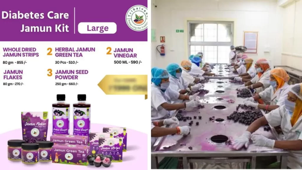 jamun food processing business making crores in hindi